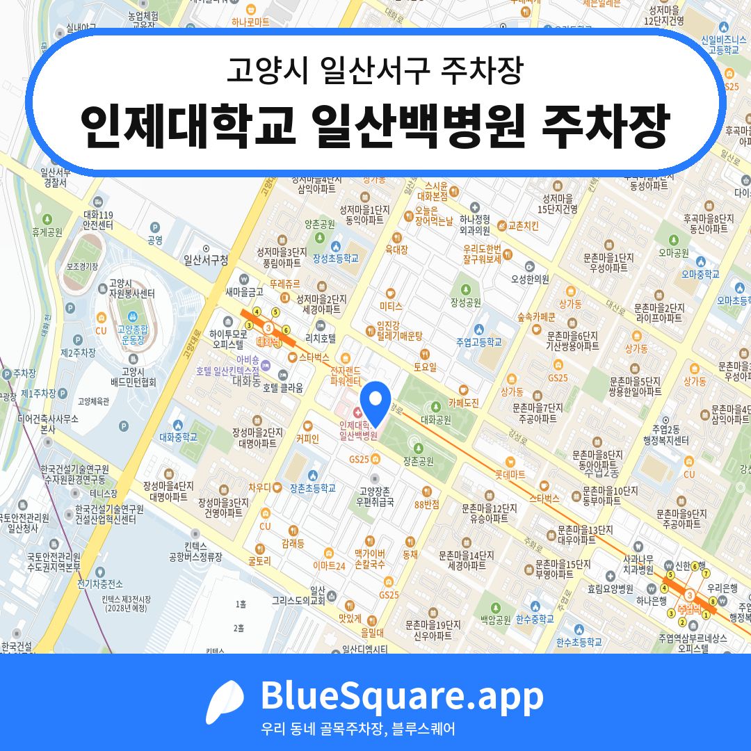인제대학교 일산백병원 주차장 위치 지도 — 경기 고양시 일산서구 대화동 | 블루스퀘어 주차