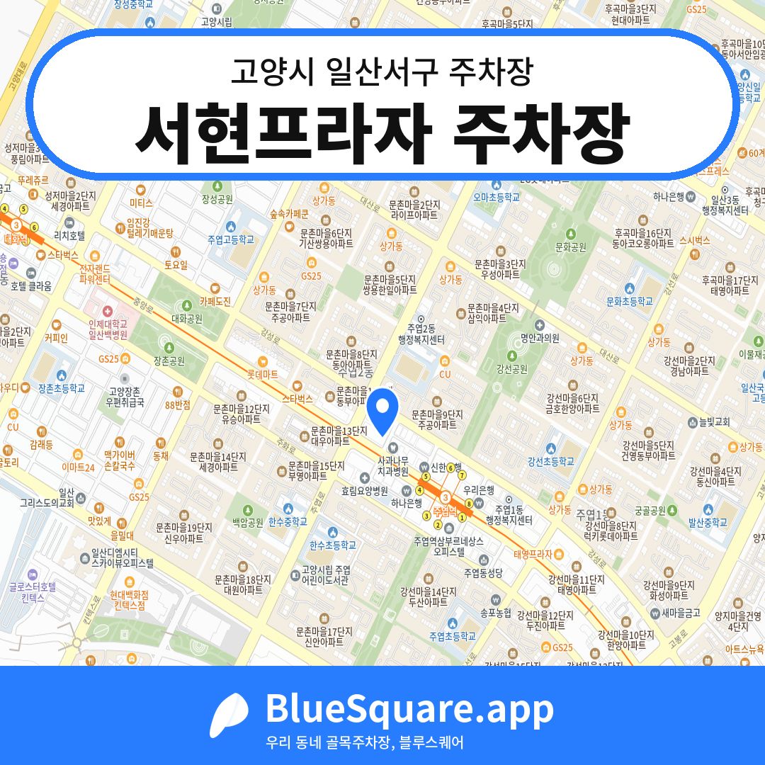 서현프라자 주차장 위치 지도 — 경기 고양시 일산서구 | 블루스퀘어 주차