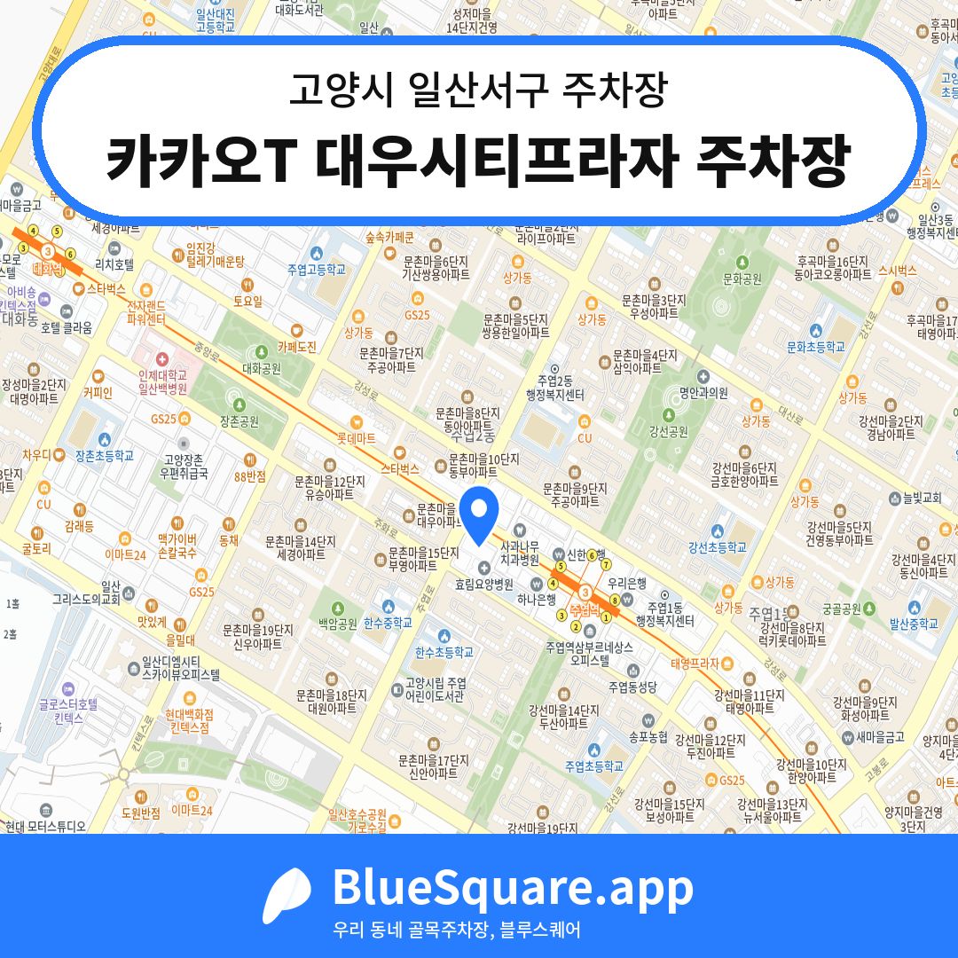 카카오T 대우시티프라자 주차장 위치 지도 — 경기 고양시 일산서구 | 블루스퀘어 주차