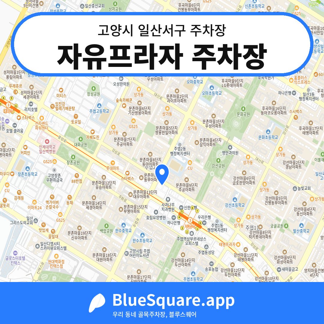 자유프라자 주차장 위치 지도 — 경기 고양시 일산서구 | 블루스퀘어 주차