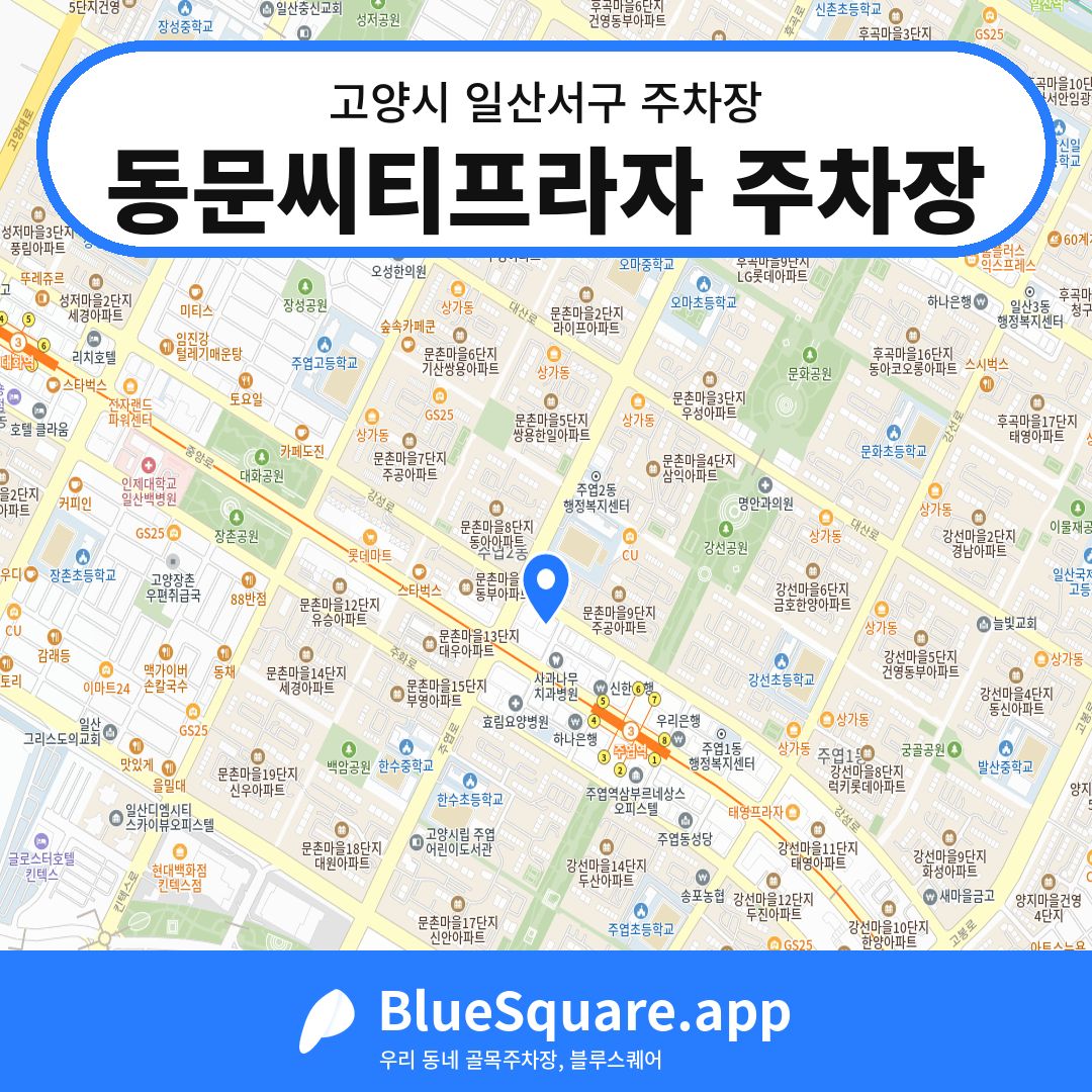 동문씨티프라자 주차장 위치 지도 — 경기 고양시 일산서구 | 블루스퀘어 주차