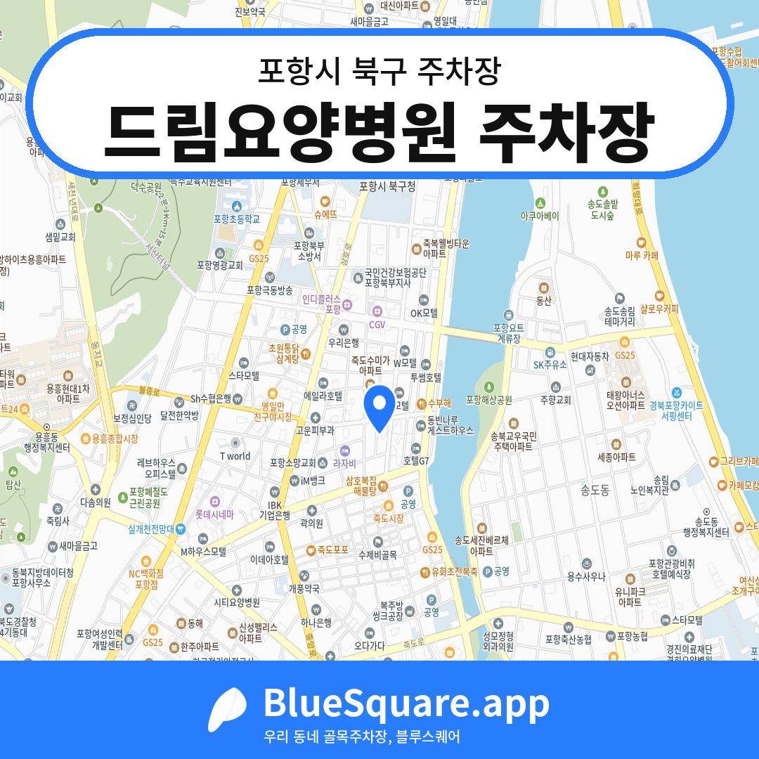 드림요양병원 주차장 위치 지도 — 경북 포항시 북구 | 블루스퀘어 주차