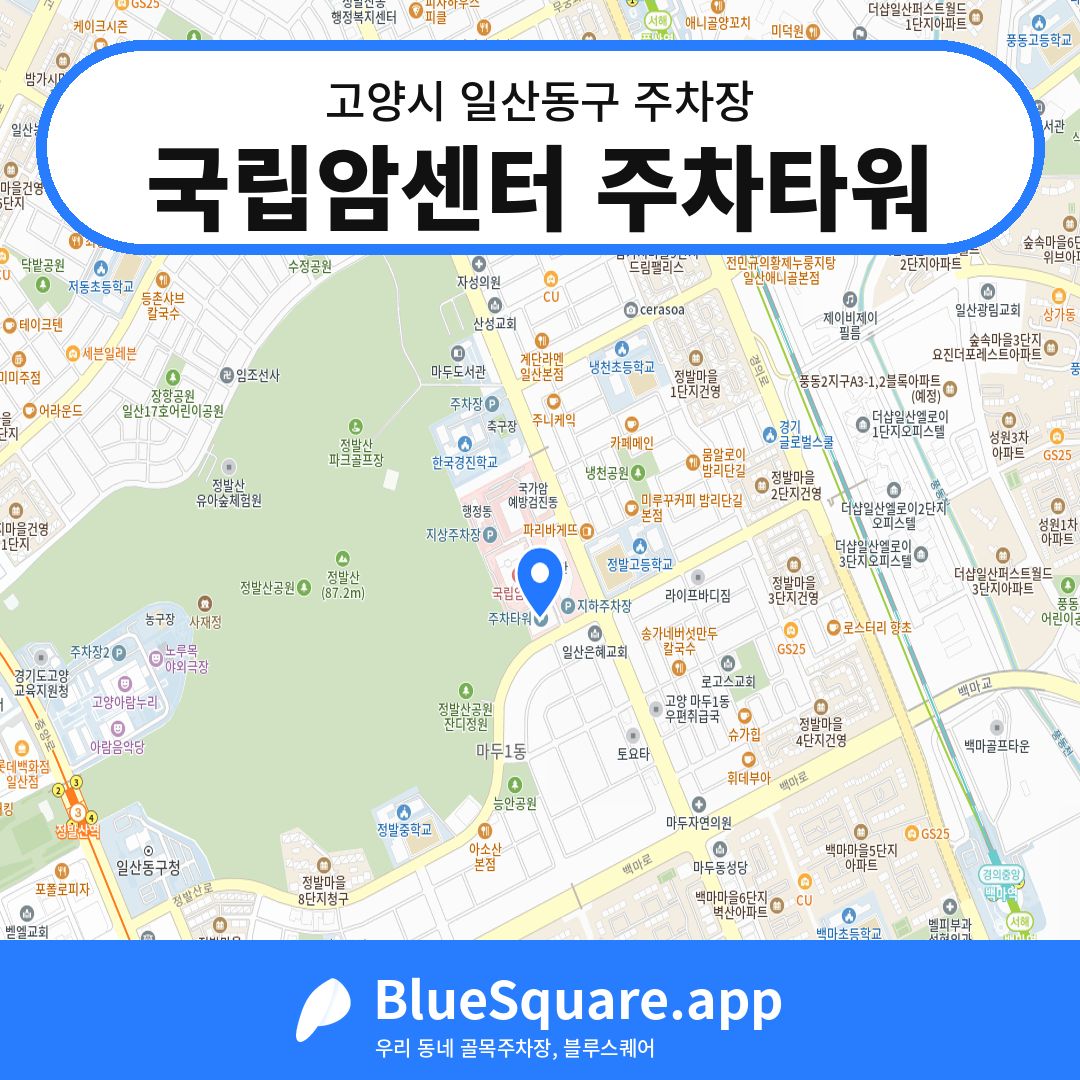 국립암센터 주차타워 위치 지도 — 경기 고양시 일산동구 | 블루스퀘어 주차