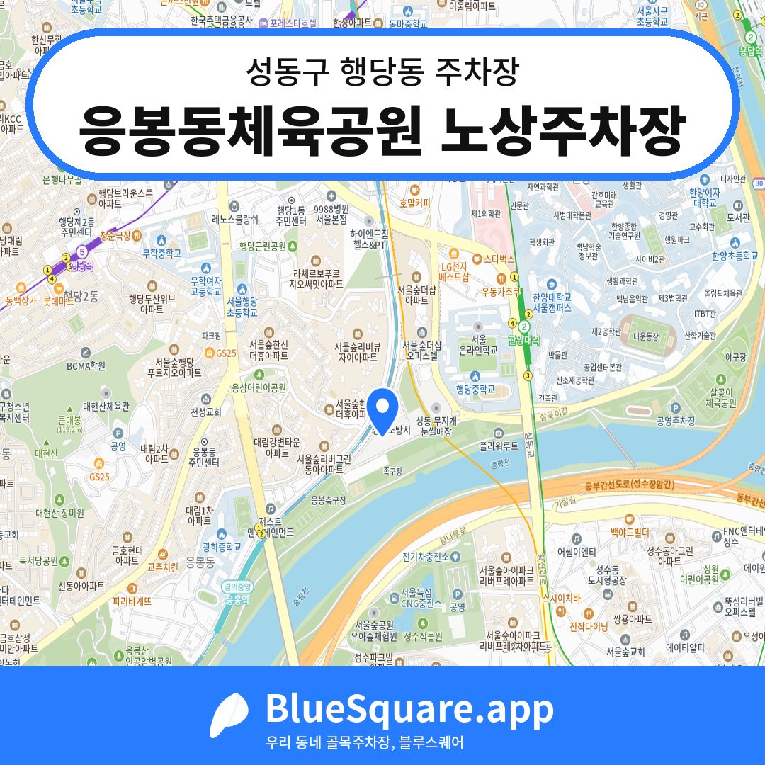 응봉동체육공원 노상주차장 위치 지도 — 서울 성동구 행당동 | 블루스퀘어 주차