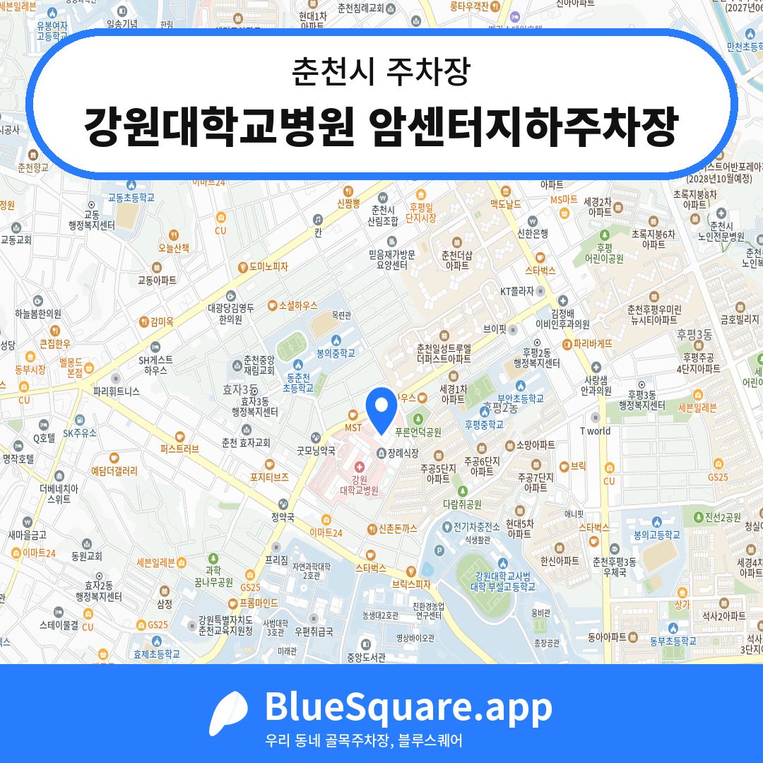 강원대학교병원 암센터지하주차장 위치 지도 — 강원 춘천시 | 블루스퀘어 주차