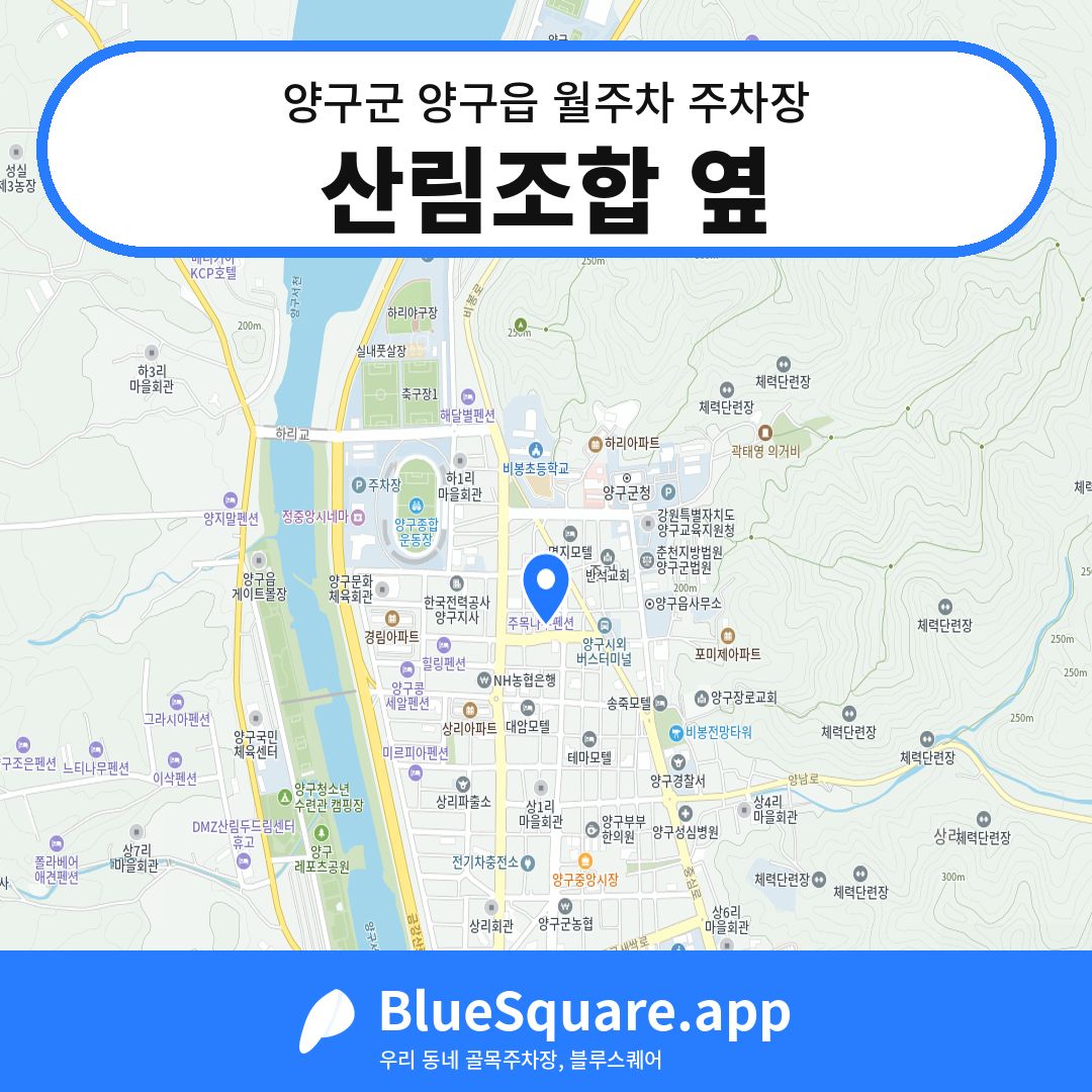 산림조합 옆 위치 지도 — 강원 양구군 양구읍 | 블루스퀘어 주차