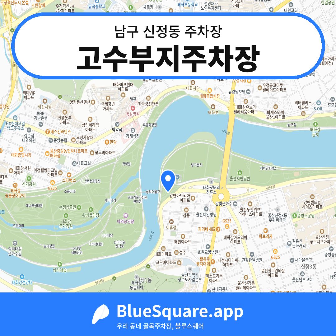 고수부지주차장 위치 지도 — 울산 남구 신정동 | 블루스퀘어 주차