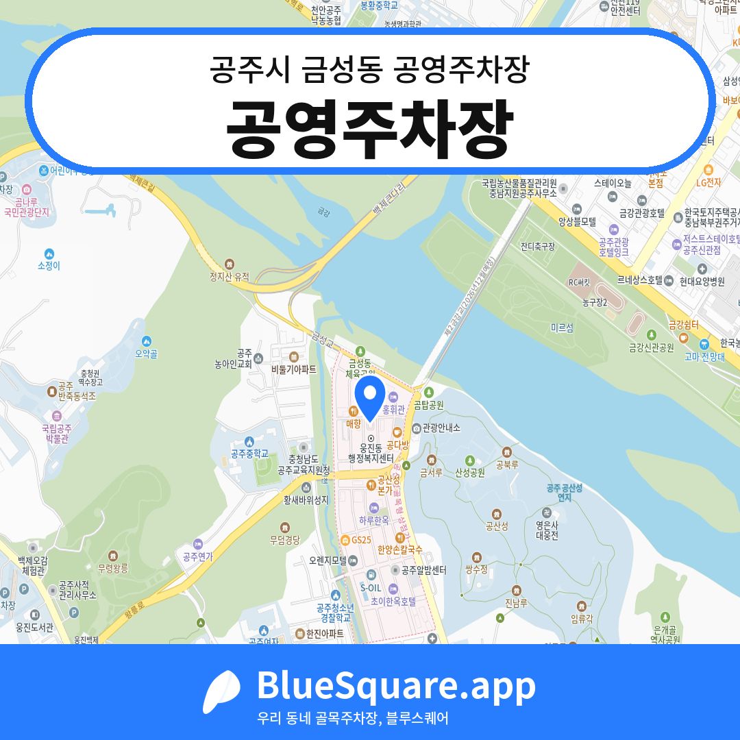 공영주차장 위치 지도 — 충남 공주시 금성동 | 블루스퀘어 주차