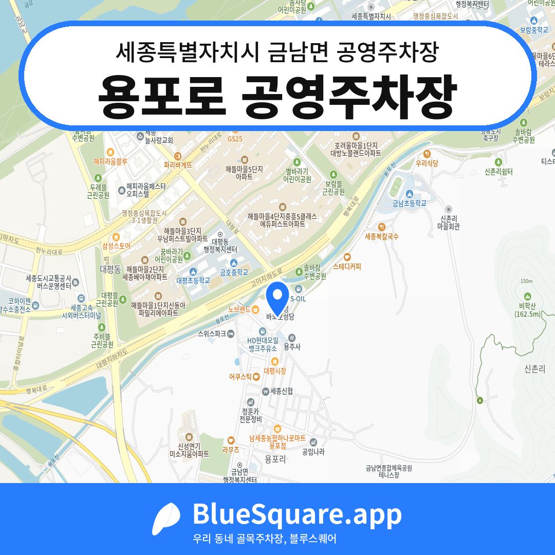 용포로 공영주차장 위치 지도 — 세종 세종특별자치시 금남면 | 블루스퀘어 주차