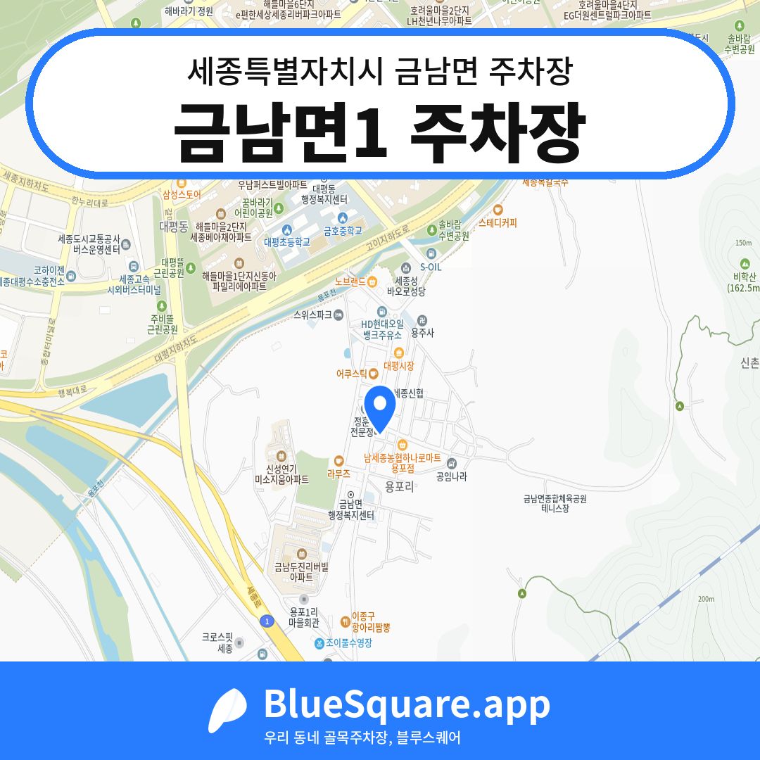 금남면1 주차장 위치 지도 — 세종 세종특별자치시 금남면 | 블루스퀘어 주차