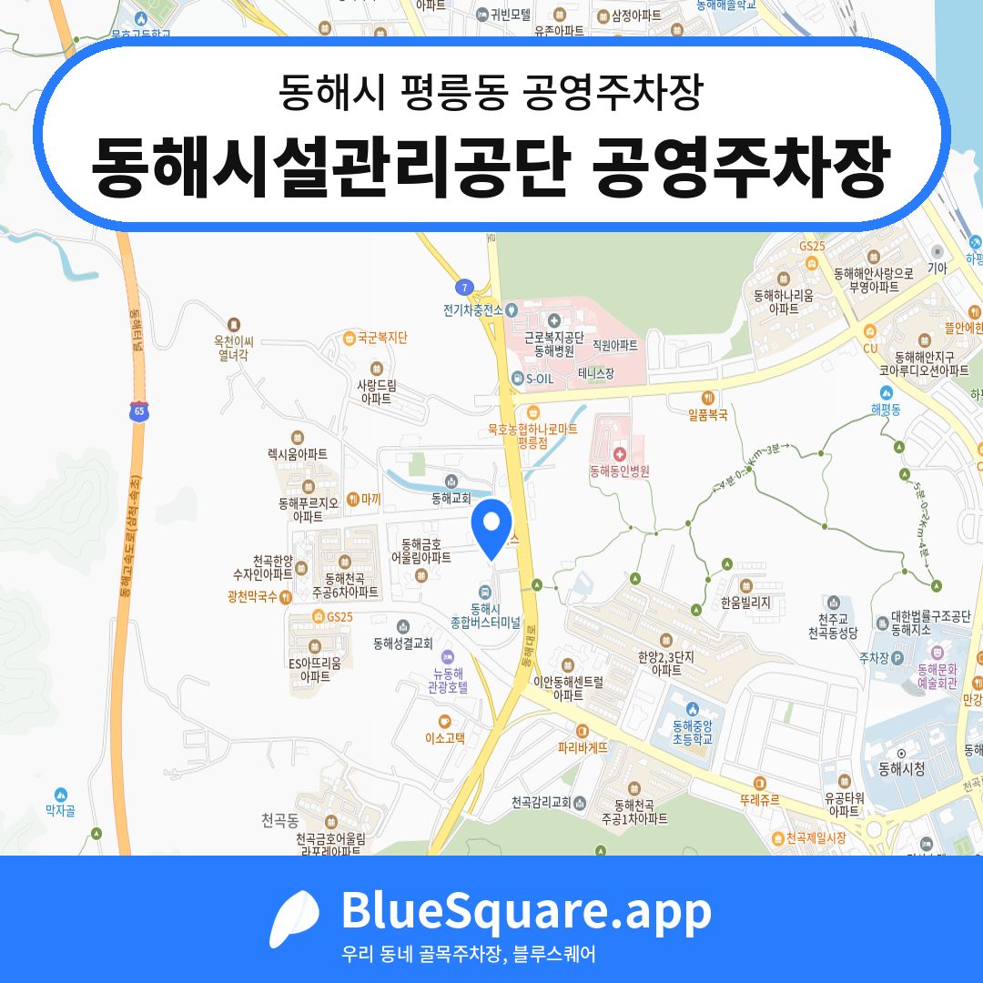 동해시설관리공단 공영주차장 위치 지도 — 강원 동해시 평릉동 | 블루스퀘어 주차
