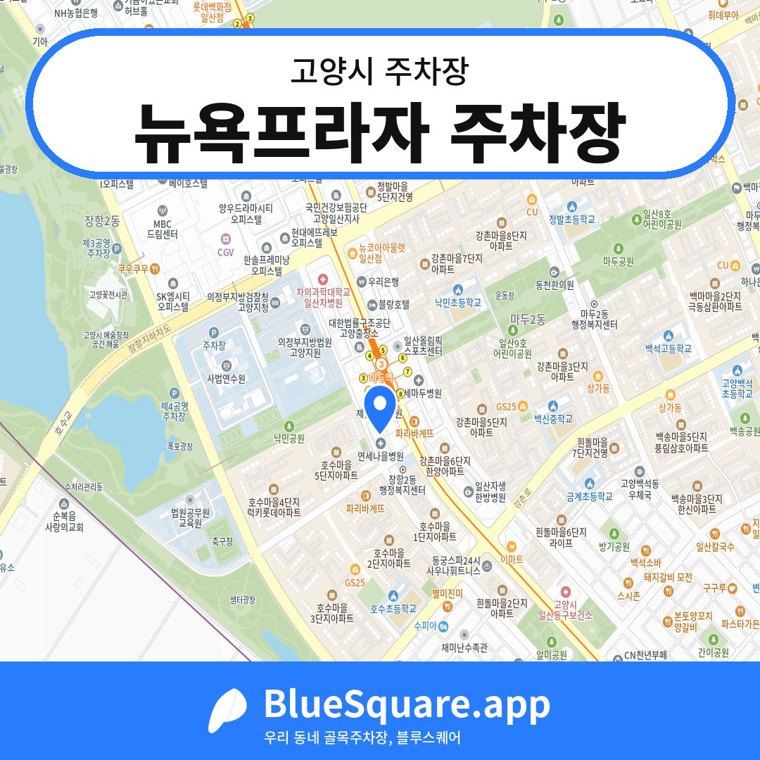 뉴욕프라자 주차장 위치 지도 — 경기 고양시 | 블루스퀘어 주차