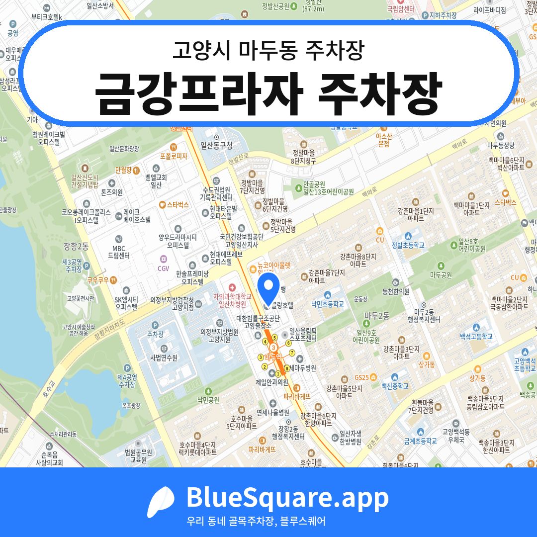 금강프라자 주차장 위치 지도 — 경기 고양시 마두동 | 블루스퀘어 주차