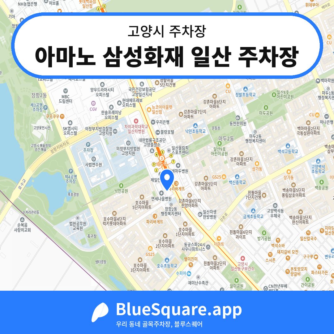 아마노 삼성화재 일산 주차장 위치 지도 — 경기 고양시 | 블루스퀘어 주차