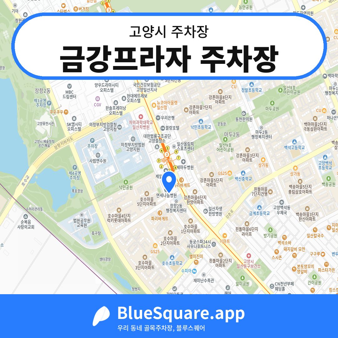 금강프라자 주차장 위치 지도 — 경기 고양시 | 블루스퀘어 주차