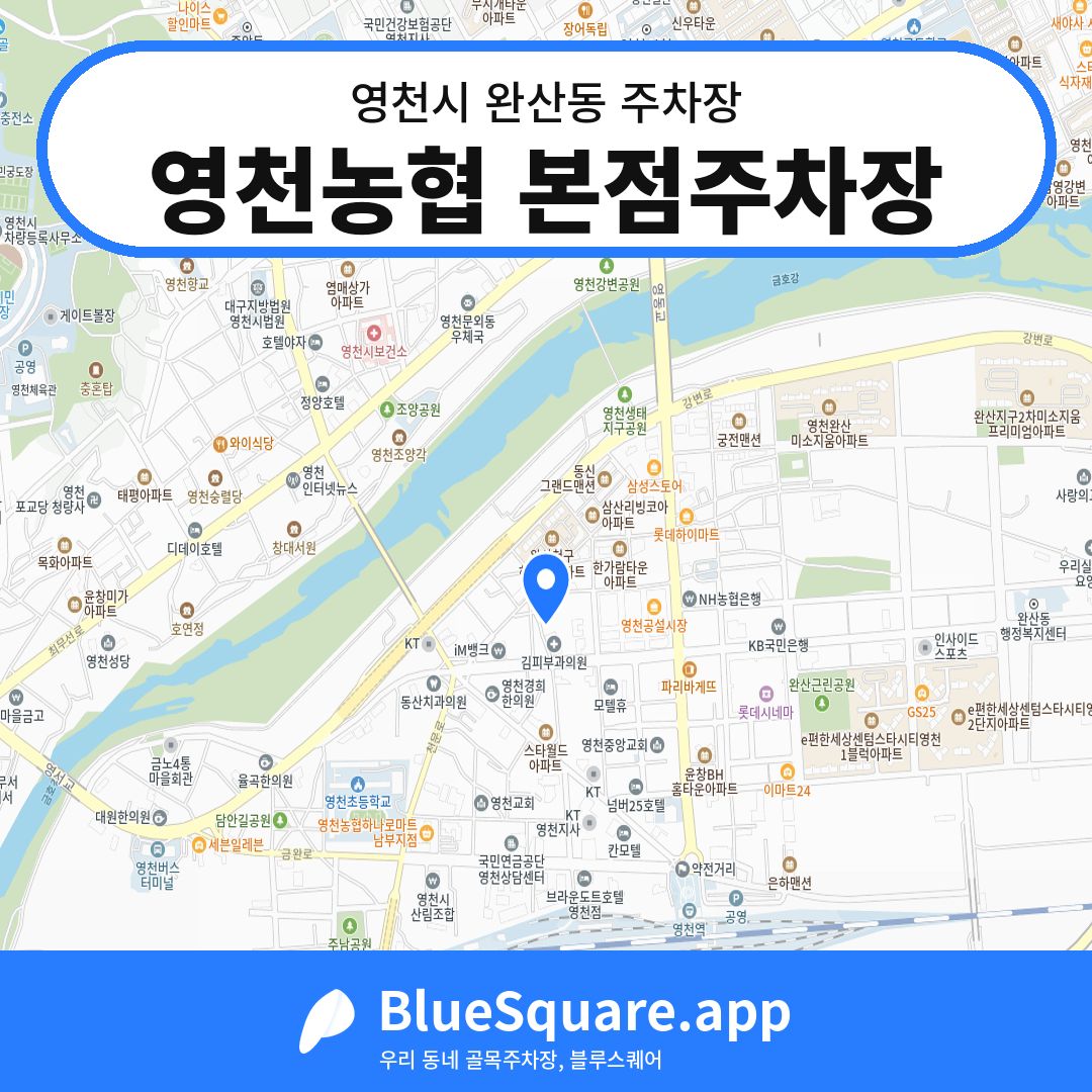 영천농협 본점주차장 위치 지도 — 경북 영천시 완산동 | 블루스퀘어 주차