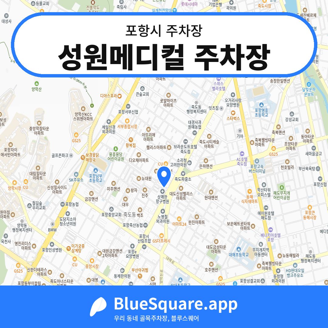 성원메디컬 주차장 위치 지도 — 경북 포항시 | 블루스퀘어 주차