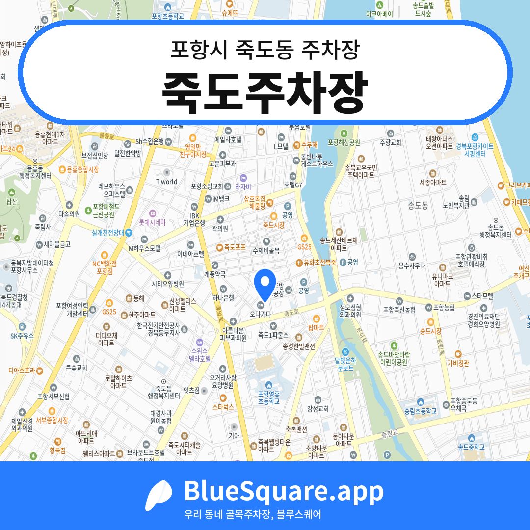 죽도주차장 위치 지도 — 경북 포항시 죽도동 | 블루스퀘어 주차