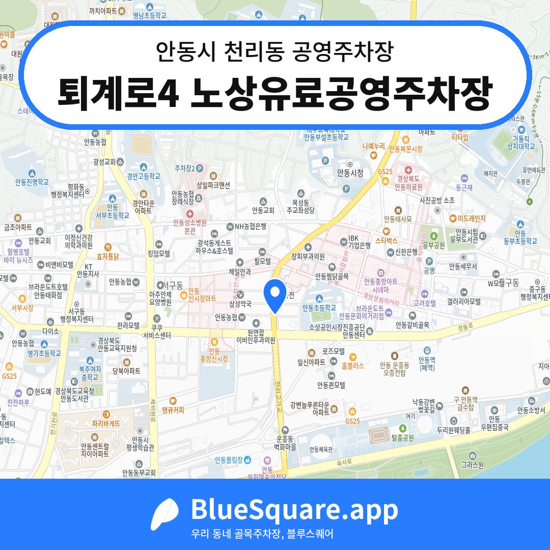퇴계로4 노상유료공영주차장 위치 지도 — 경북 안동시 천리동 | 블루스퀘어 주차