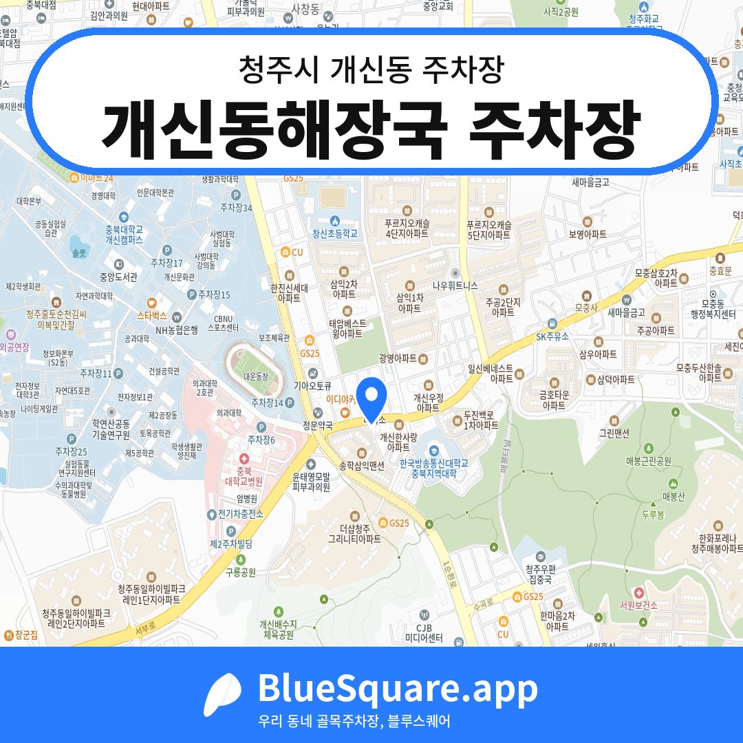 개신동해장국 주차장 위치 지도 — 충북 청주시 개신동 | 블루스퀘어 주차