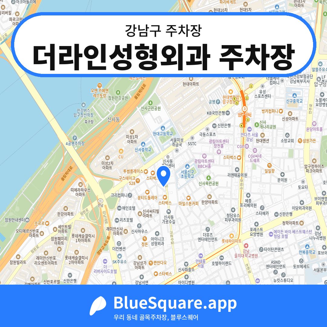 더라인성형외과 주차장 위치 지도 — 서울 강남구 | 블루스퀘어 주차