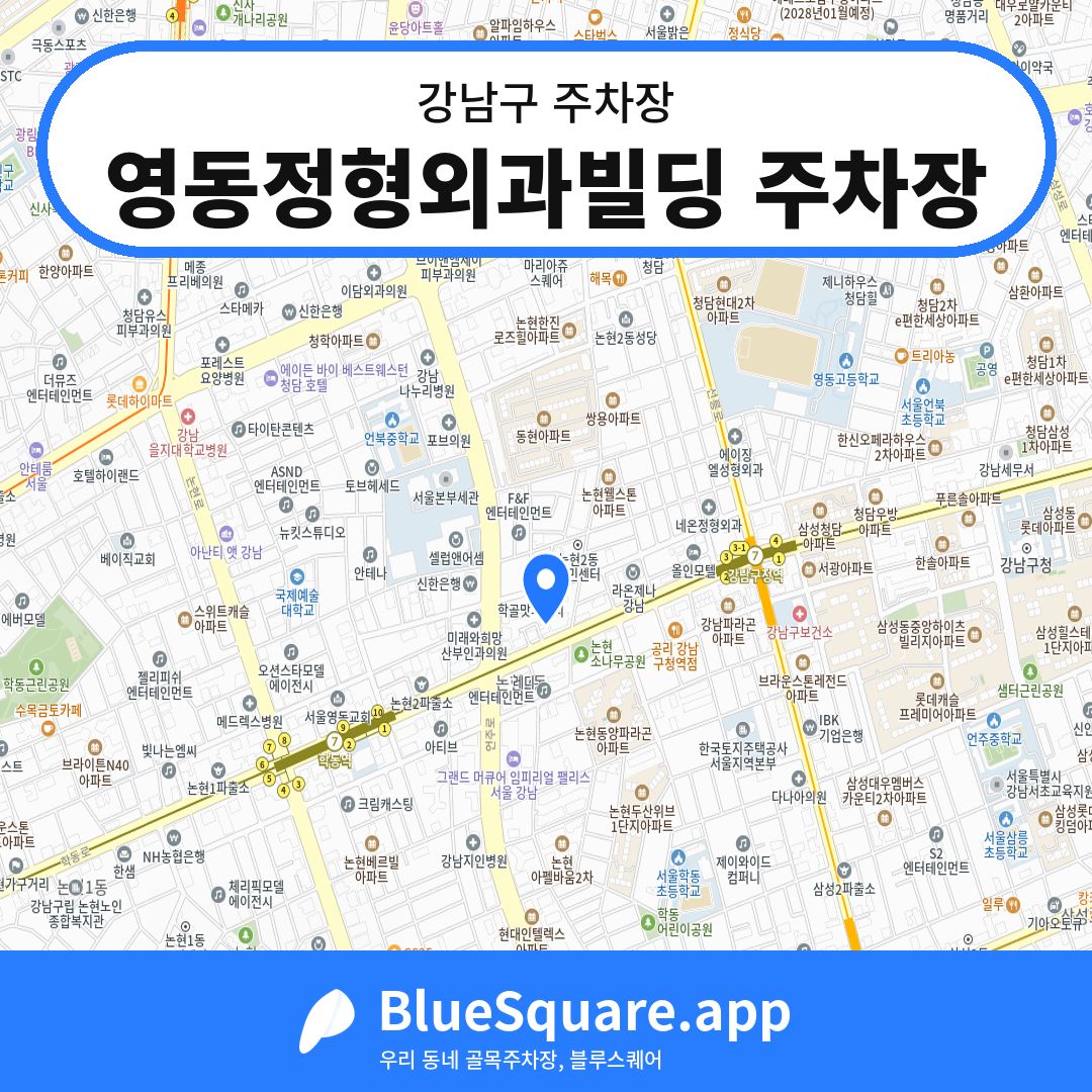 영동정형외과빌딩 주차장 위치 지도 — 서울 강남구 | 블루스퀘어 주차