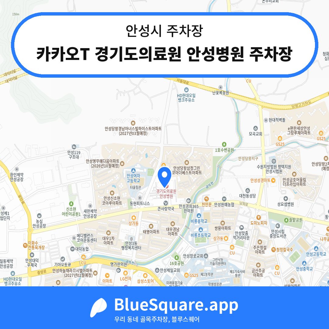 카카오T 경기도의료원 안성병원 주차장 위치 지도 — 경기 안성시 | 블루스퀘어 주차