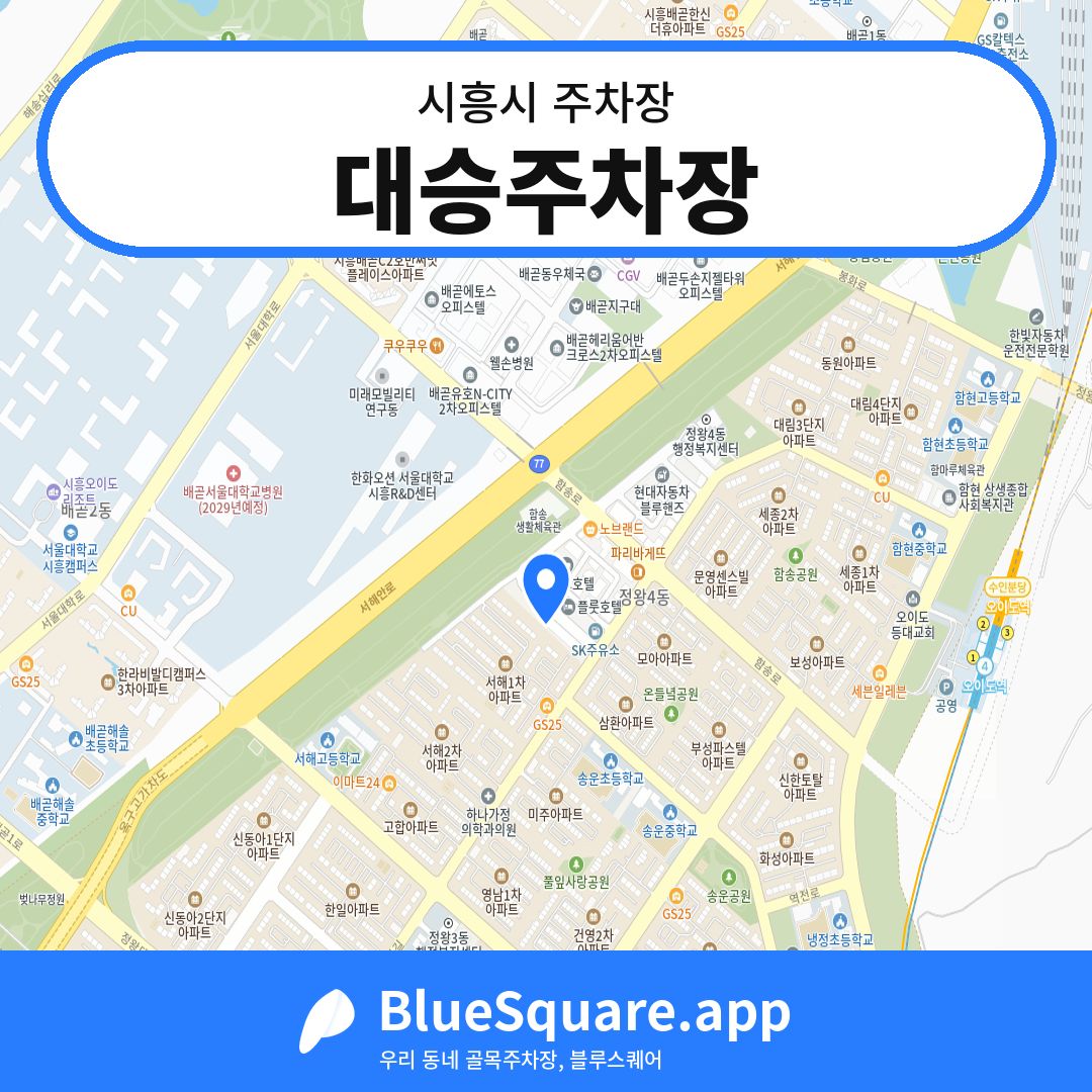 대승주차장 위치 지도 — 경기 시흥시 | 블루스퀘어 주차