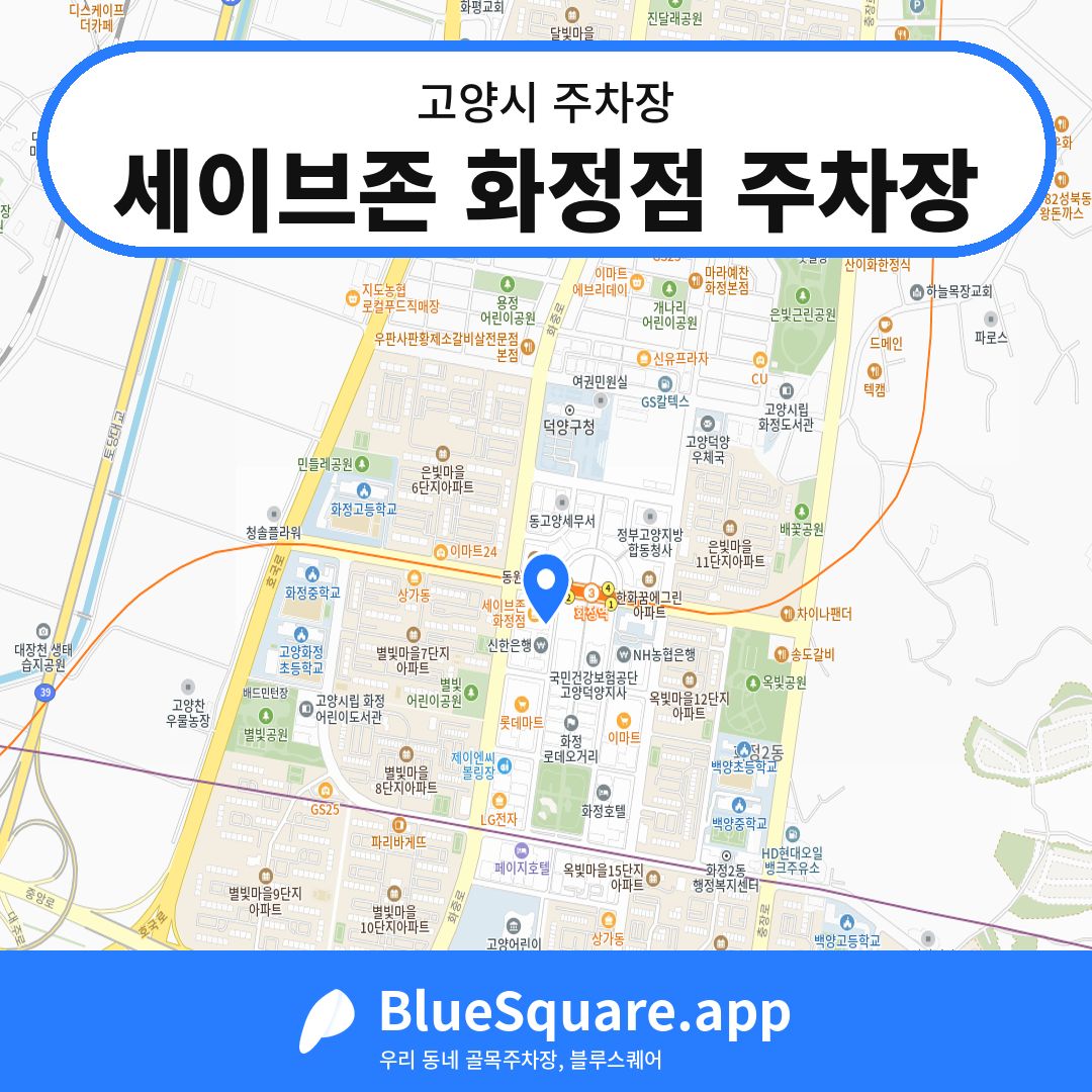 세이브존 화정점 주차장 위치 지도 — 경기 고양시 | 블루스퀘어 주차