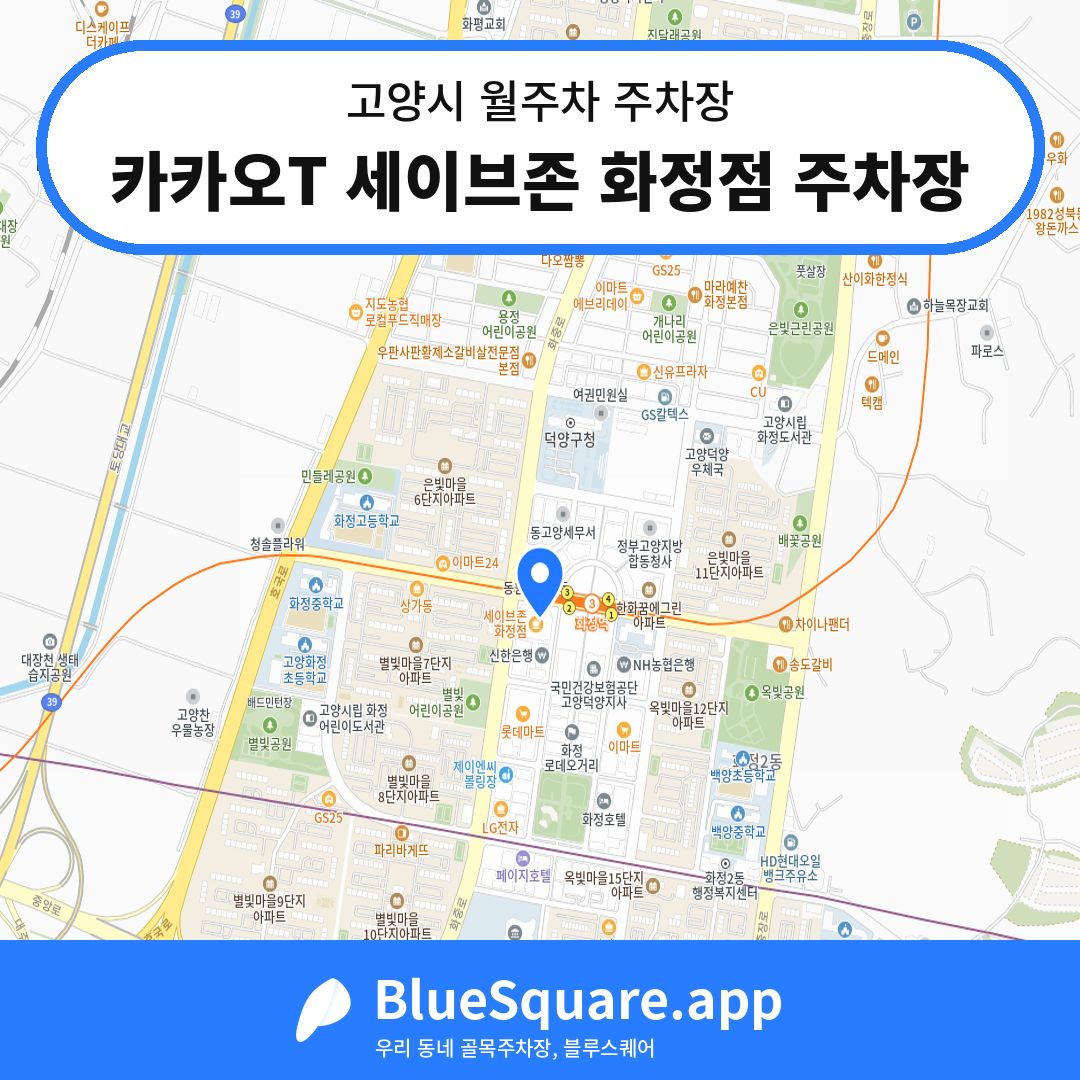카카오T 세이브존 화정점 주차장 위치 지도 — 경기 고양시 | 블루스퀘어 주차