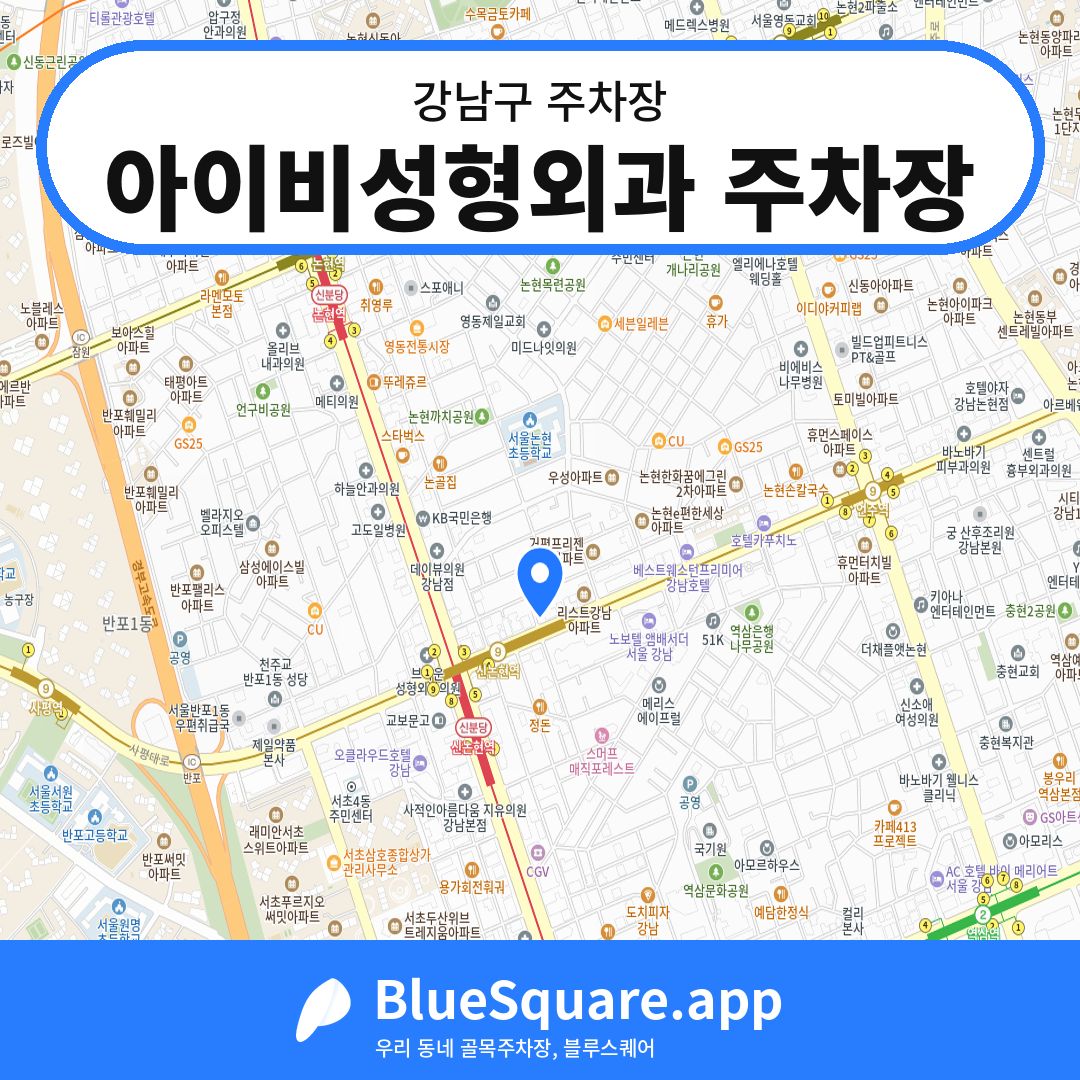 아이비성형외과 주차장 위치 지도 — 서울 강남구 | 블루스퀘어 주차