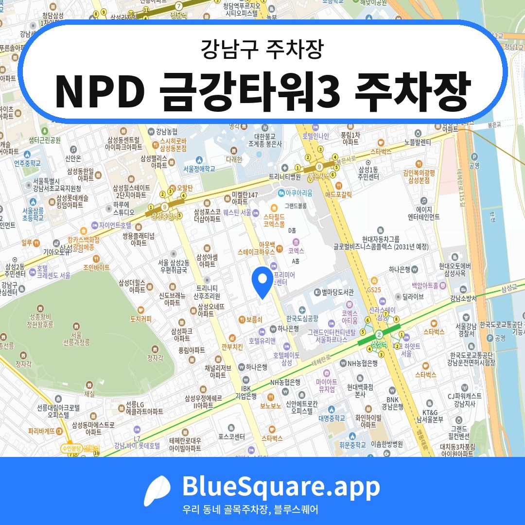 NPD 금강타워3 주차장 위치 지도 — 서울 강남구 | 블루스퀘어 주차