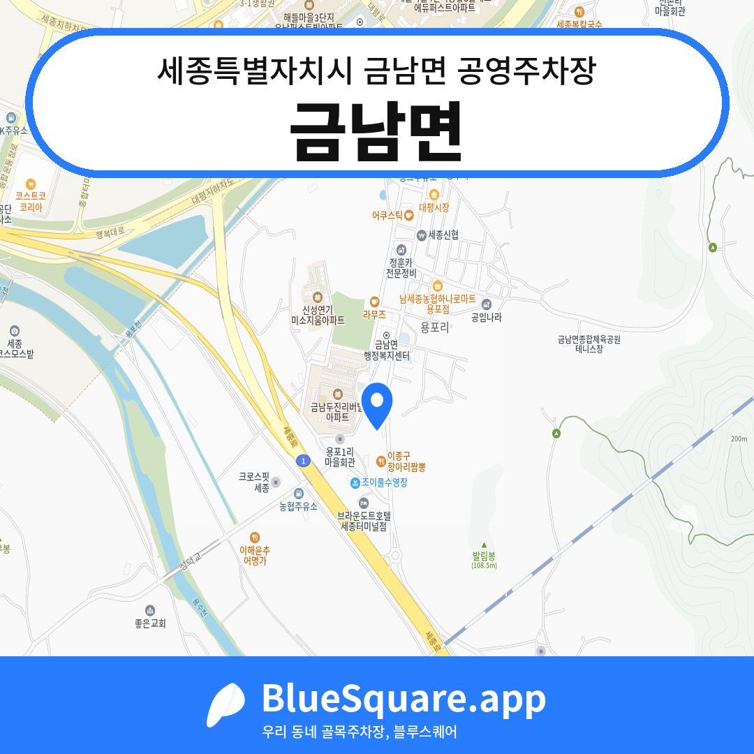 금남면 위치 지도 — 세종 세종특별자치시 금남면 | 블루스퀘어 주차