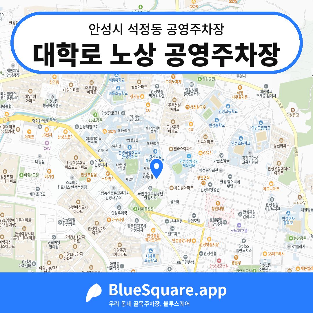 대학로 노상 공영주차장 위치 지도 — 경기 안성시 석정동 | 블루스퀘어 주차