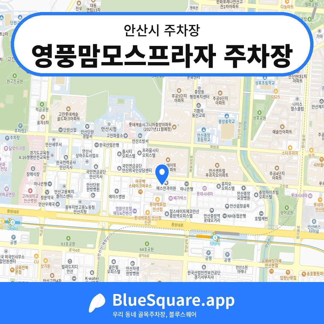 영풍맘모스프라자 주차장 위치 지도 — 경기 안산시 | 블루스퀘어 주차