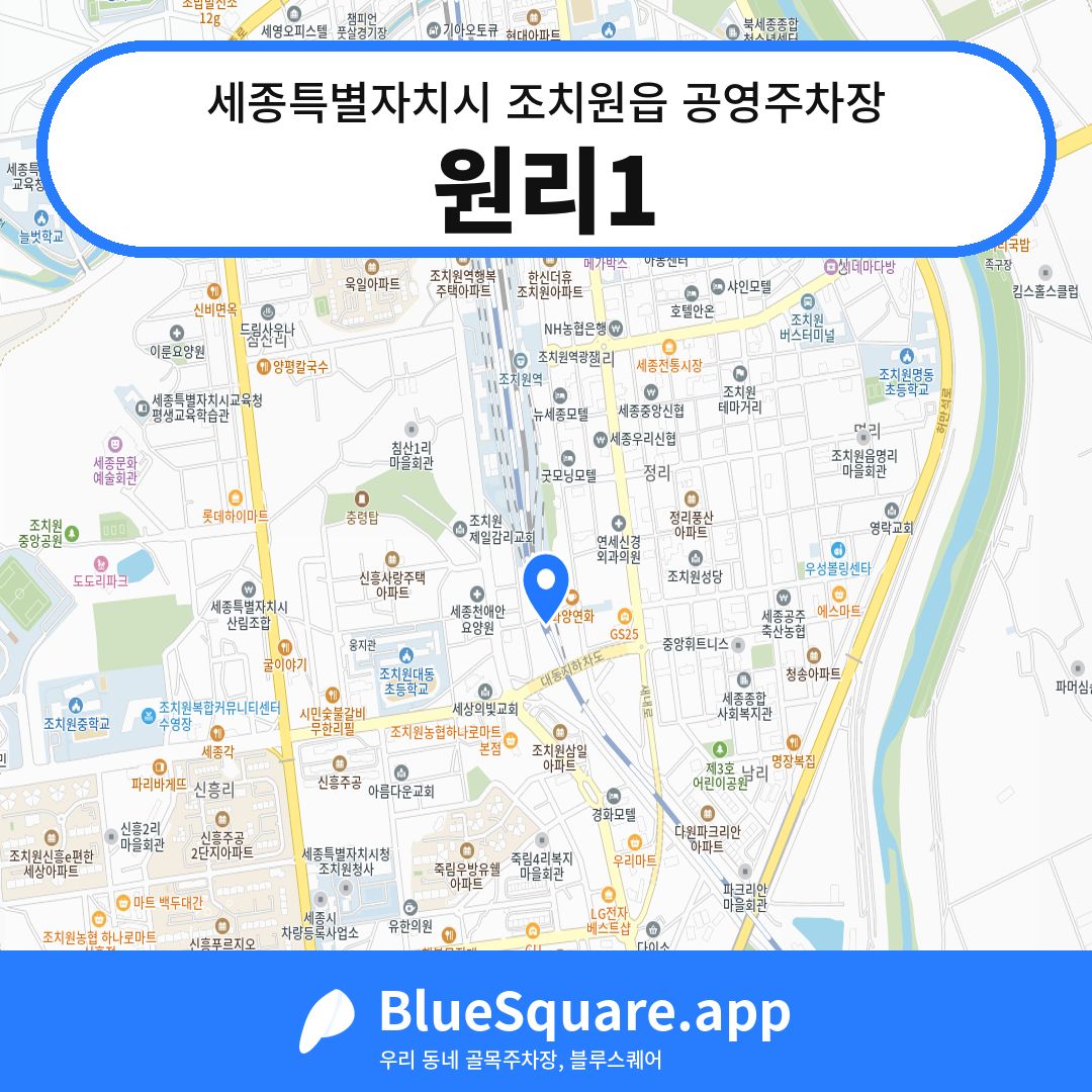 원리1 위치 지도 — 세종 세종특별자치시 조치원읍 | 블루스퀘어 주차