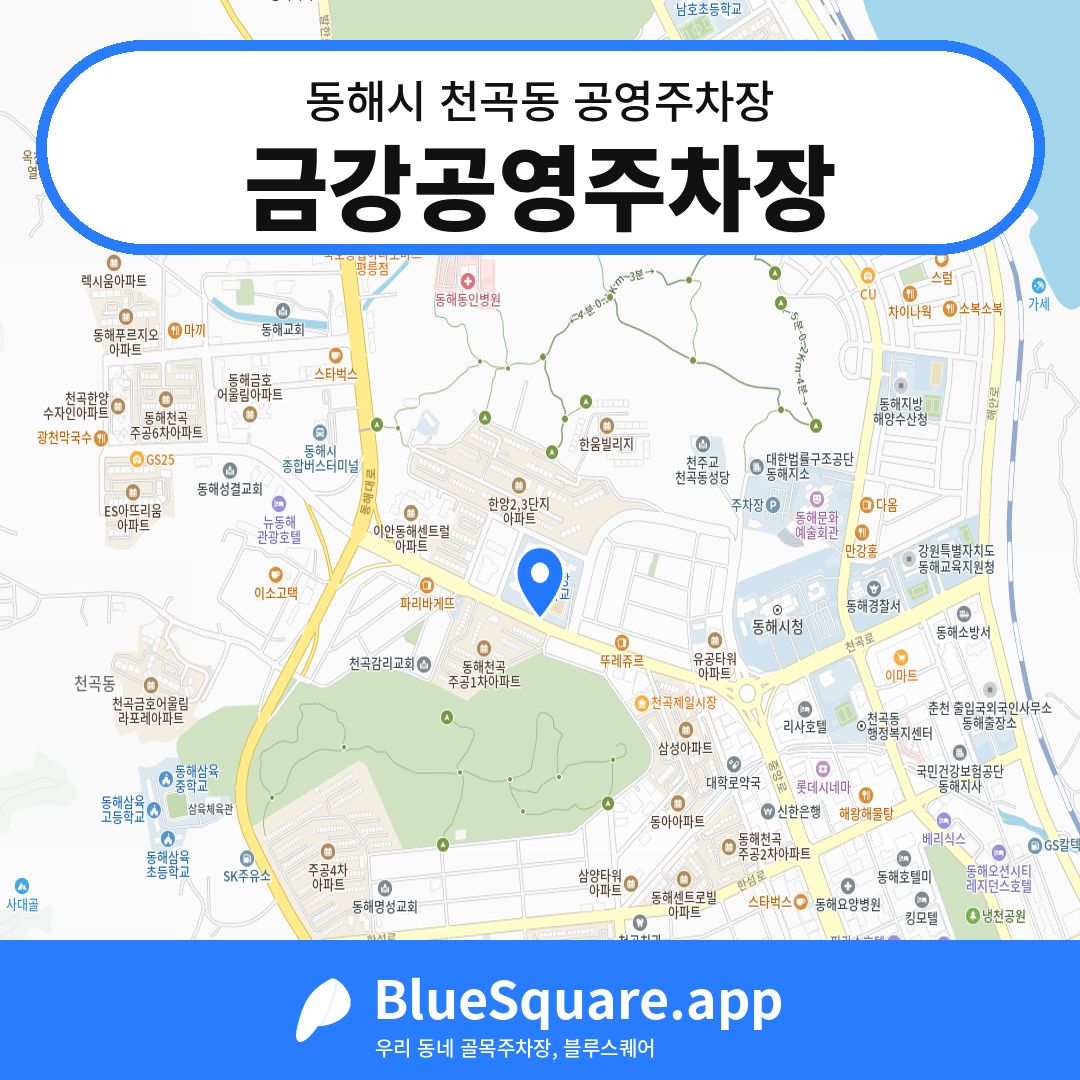 금강공영주차장 위치 지도 — 강원 동해시 천곡동 | 블루스퀘어 주차