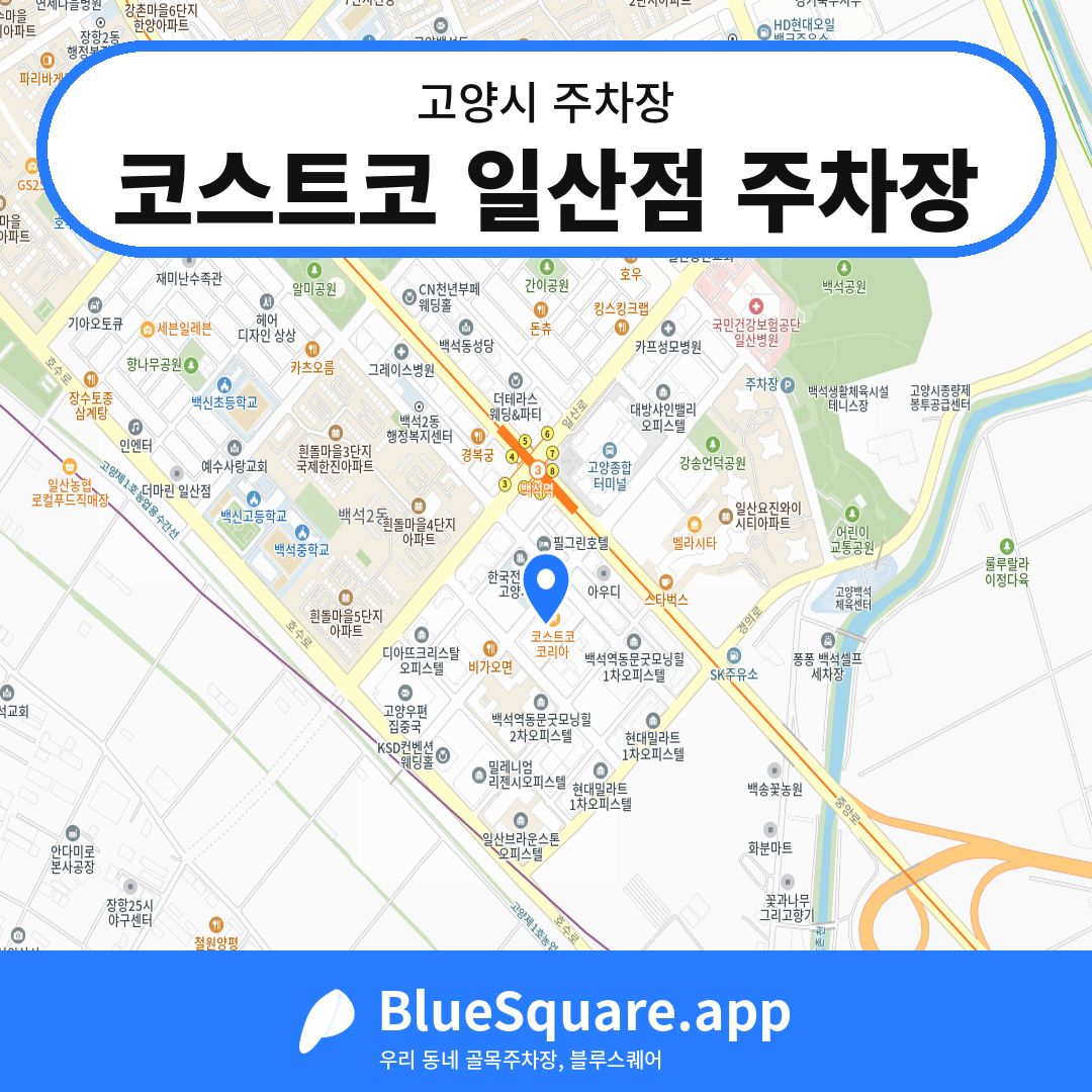 코스트코 일산점 주차장 위치 지도 — 경기 고양시 | 블루스퀘어 주차