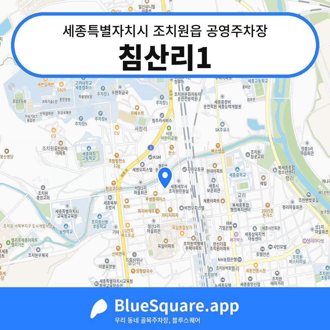 침산리1 위치 지도 — 세종 세종특별자치시 조치원읍 | 블루스퀘어 주차