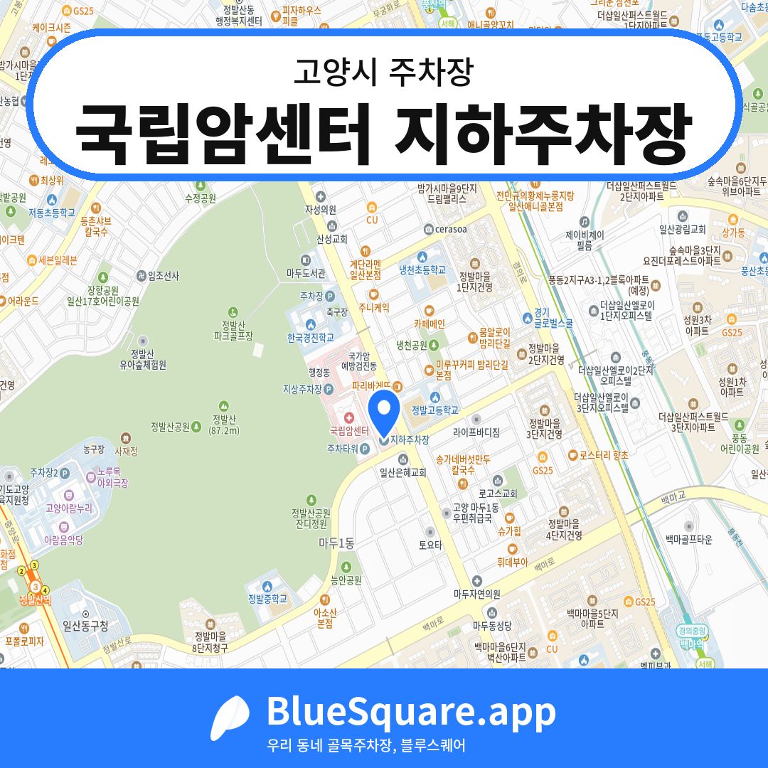 국립암센터 지하주차장 위치 지도 — 경기 고양시 | 블루스퀘어 주차