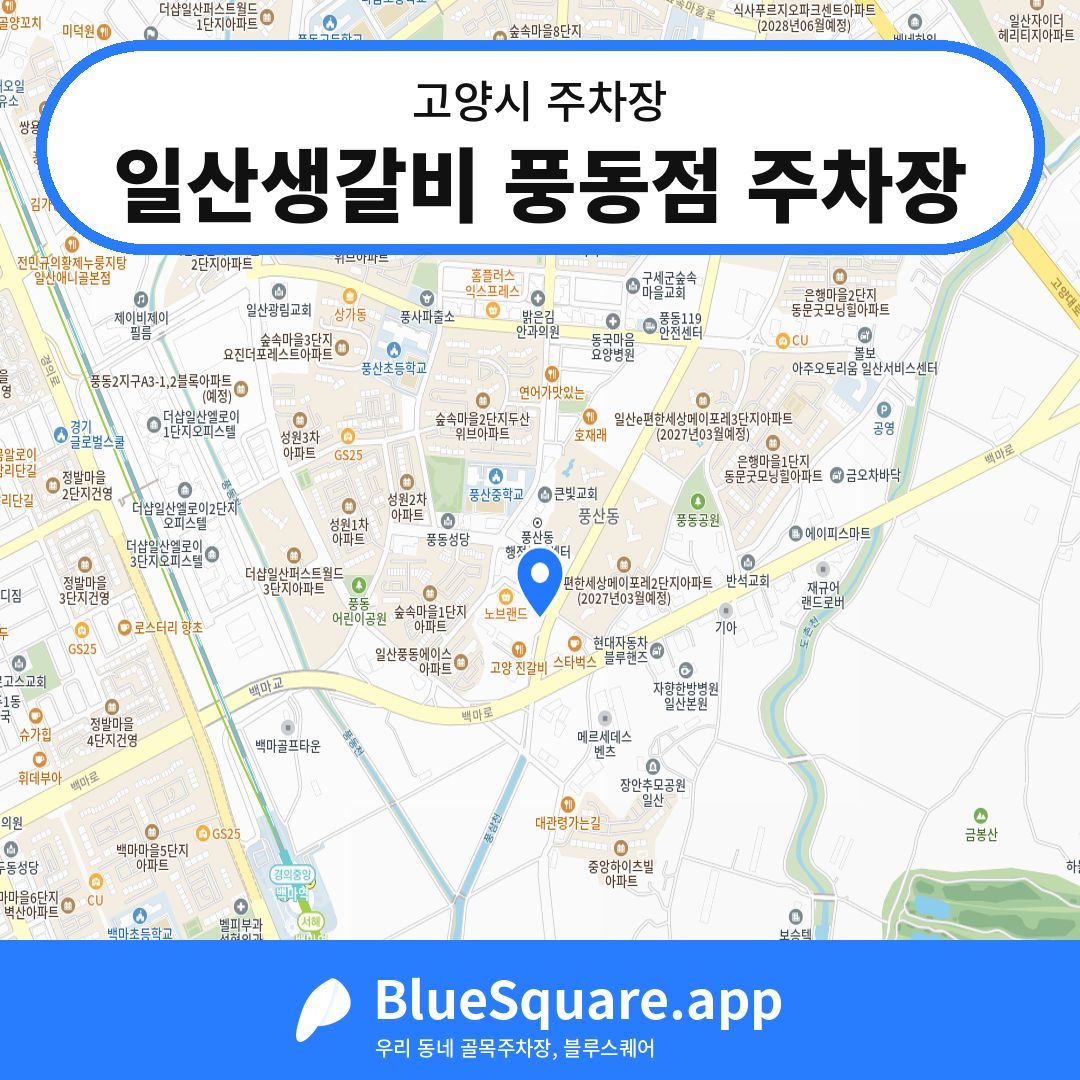 일산생갈비 풍동점 주차장 위치 지도 — 경기 고양시 | 블루스퀘어 주차