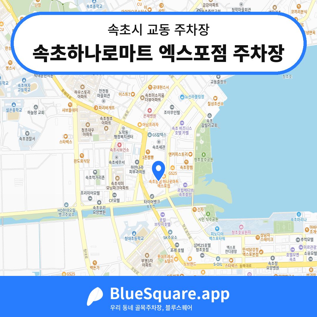 속초하나로마트 엑스포점 주차장 위치 지도 — 강원 속초시 교동 | 블루스퀘어 주차
