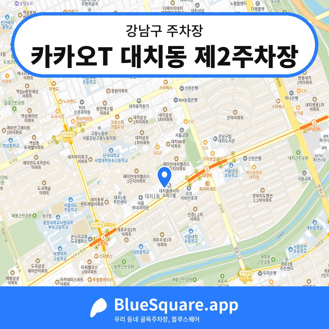 카카오T 대치동 제2주차장 위치 지도 — 서울 강남구 | 블루스퀘어 주차