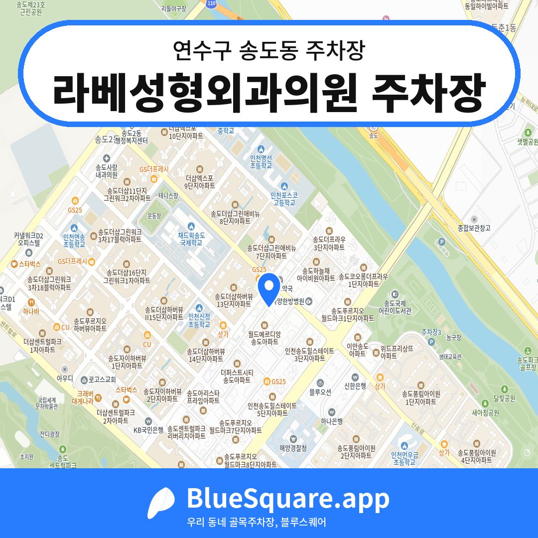 라베성형외과의원 주차장 위치 지도 — 인천 연수구 송도동 | 블루스퀘어 주차