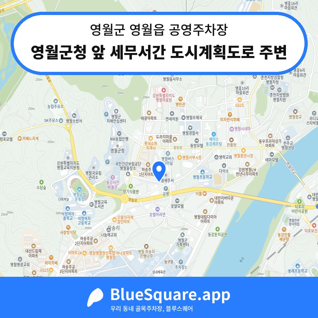 영월군청 앞 세무서간 도시계획도로 주변 위치 지도 — 강원 영월군 영월읍 | 블루스퀘어 주차