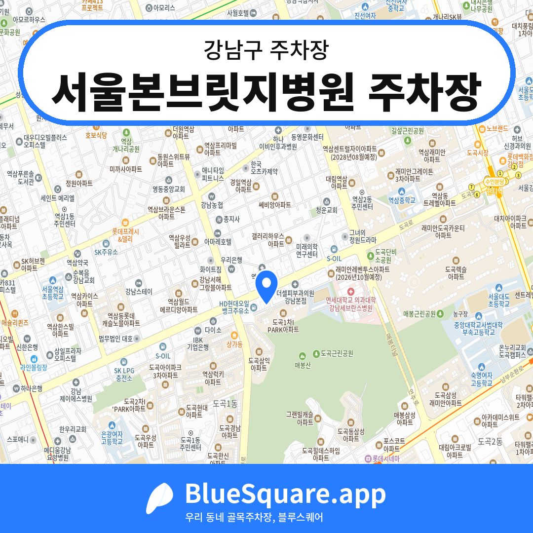 서울본브릿지병원 주차장 위치 지도 — 서울 강남구 | 블루스퀘어 주차