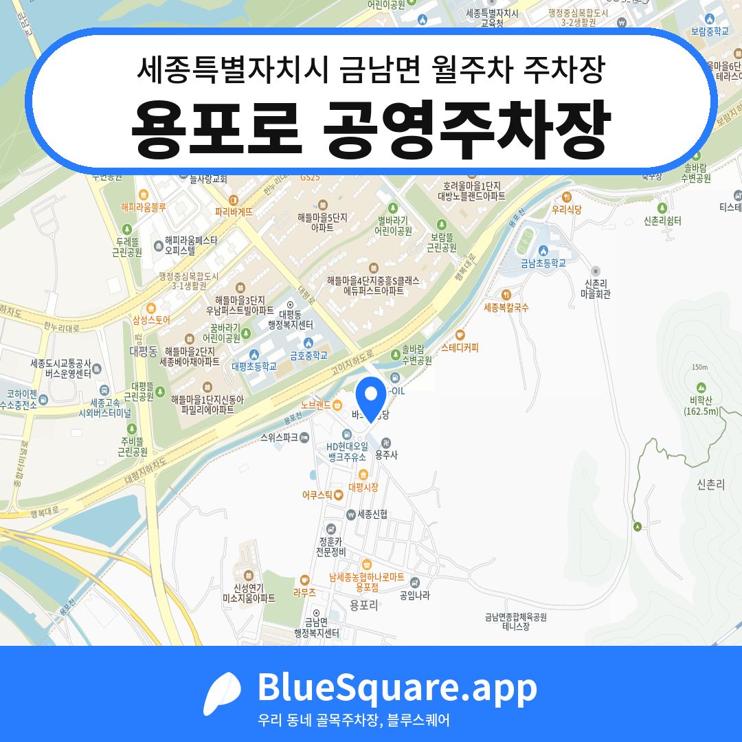 용포로 공영주차장 위치 지도 — 세종 세종특별자치시 금남면 | 블루스퀘어 주차