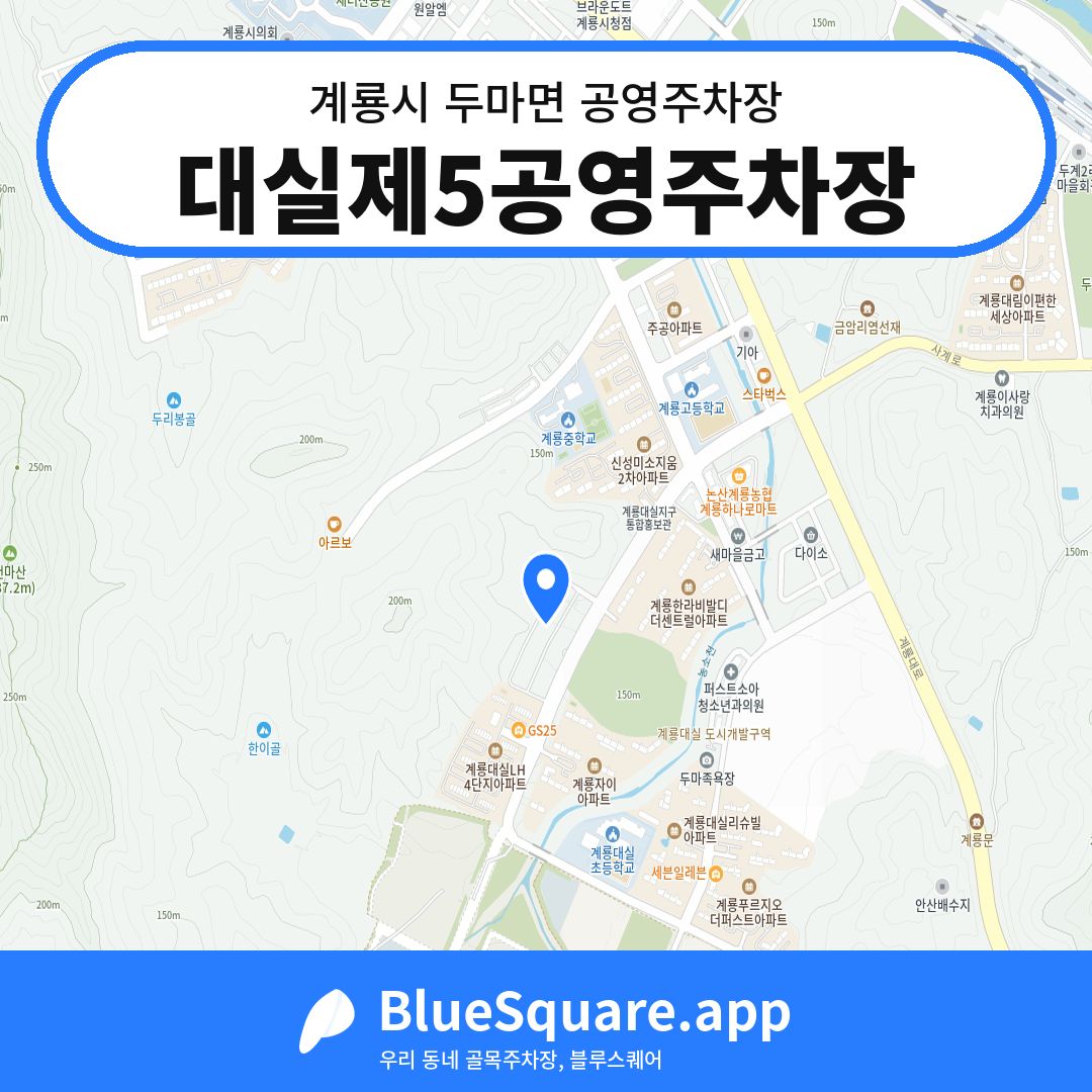 대실제5공영주차장 위치 지도 — 충남 계룡시 두마면 | 블루스퀘어 주차
