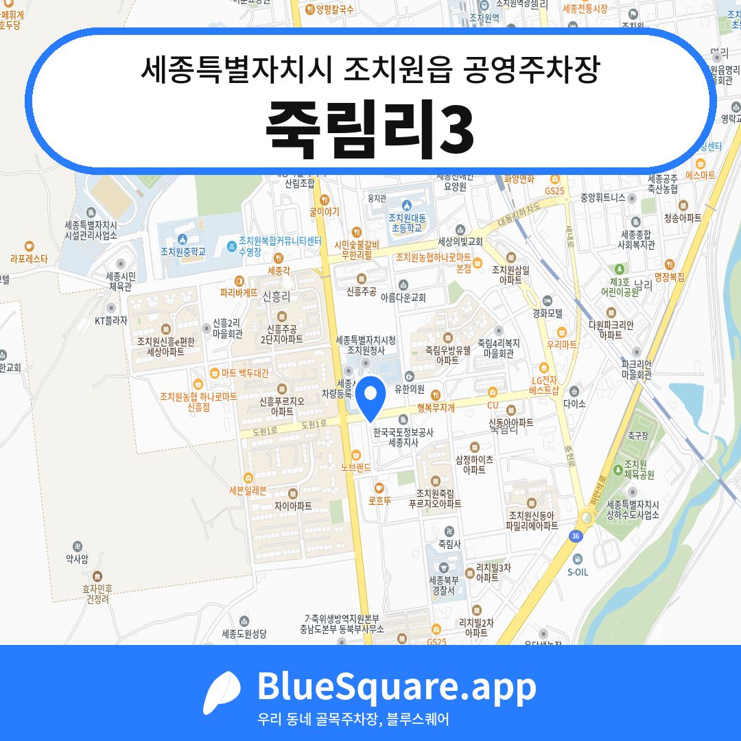 죽림리3 위치 지도 — 세종 세종특별자치시 조치원읍 | 블루스퀘어 주차
