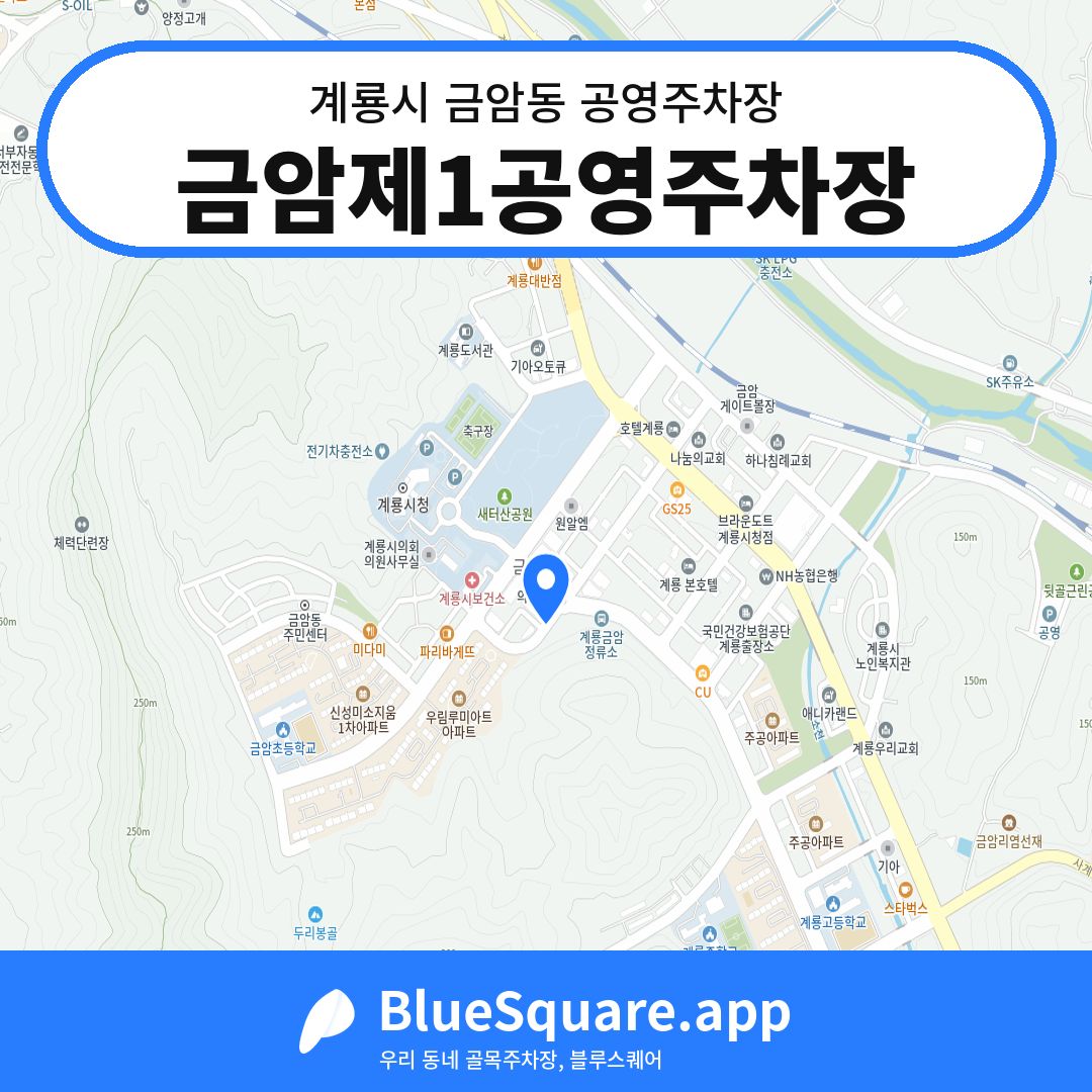 금암제1공영주차장 위치 지도 — 충남 계룡시 금암동 | 블루스퀘어 주차